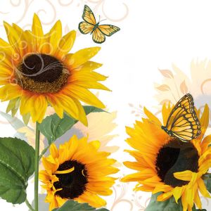 Sunny Butterfly Design