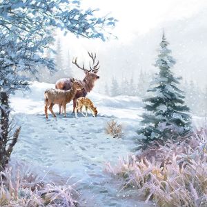 Deer Family Design