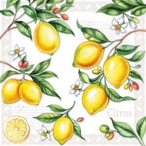 Citrus Design