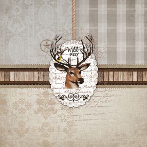 Wild Deer Design
