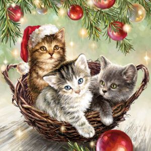 Cats In Basket Design