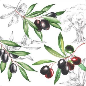 Olives Design