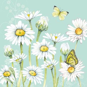 Daisy Green Design