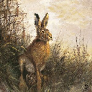 Portrait Of Hare Design