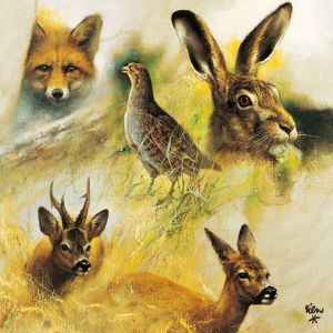 Wild Animals Collage Design