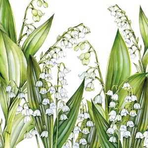 Sweet Lily Design