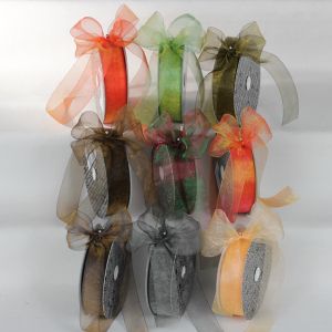 Crystal Organdy Ribbon 1 inch