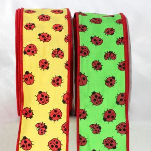 Ladybug Ribbon