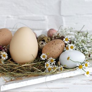 Pastel Eggs Design