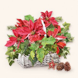 Poinsettia In Basket Design