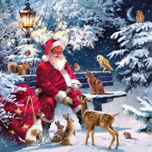 Santa On Bench Design