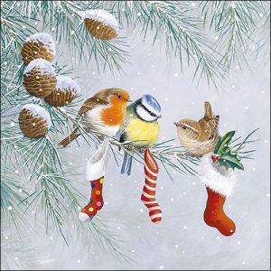 Christmas Socks Design