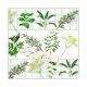 Herbs Cocktail Napkin