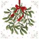 Mistletoe Design