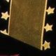Star Edge Organdy  
