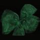 Plain Organdy Ribbon 2 Inch 55 Yards Hunter