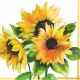 Girasoli Cocktail Napkin