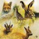 Wild Animals Collage Lunch Napkin