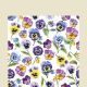 Pansy All Over Cocktail Napkin