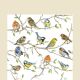 Birds Meeting Cocktail Napkin