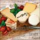 Palette of Cheeses Lunch Napkin