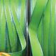 Narrow Wire Edge Taffeta 10mm 3/8 Inch 55 Yards Lime/blue