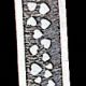 Satin Edge Organdy  Georgette 1.5in 30 Yards White with White Hearts