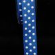 Woven Grosgrain with Polka Dots 5/8 Inch 22 Yards White/royal