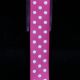 Woven Grosgrain with Polka Dots 5/8 Inch 22 Yard White/fuchsia