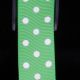 Woven Grosgrain with Polka Dots 1 Inch 22 Yards white/green
