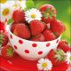 Strawberries In Bowl Design