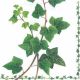 Ivy Tendril Lunch Napkin