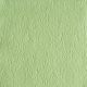 Elegance Pale Green Lunch Napkin