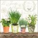 Le Jardin De Provence Lunch Napkin