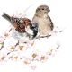 Sparrows Blossom Design
