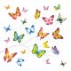 Colourful Butterflies Design