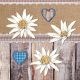 Edelweiss On Wood Lunch Napkin