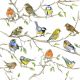 Birds Meeting Lunch Napkin
