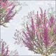 Calluna Lunch Napkin