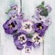 Pansy Heart Lunch Napkin