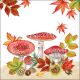 Fly Agaric Group Design