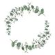 Eucalyptus Branch White Design