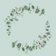 Eucalyptus Branch Green Design