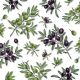 Branches of Olives Design 