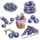 Blueberries Design Napkin Lunch