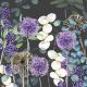Lunaria Grey Design