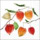 Lampion Flower Design