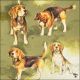 Beagles Napkin Lunch