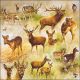 Collage Of Deers Design
