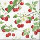 Fresh cherries Design
